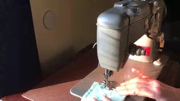 Pfaff 230 demo