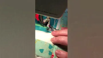 Pfaff stitch in the ditch foot