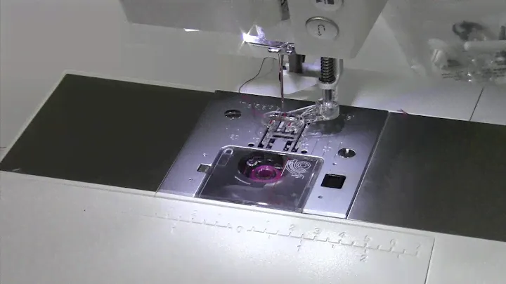Pfaff Passport 3.0 - 44 Free Motion Quilting