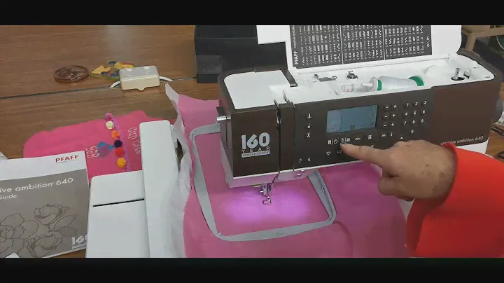 Let's have fun with the new Pfaff Creative Ambition 640 ~ part 2